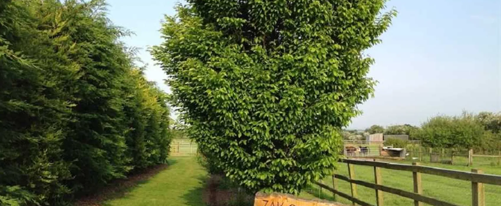 West Field Farm Camping