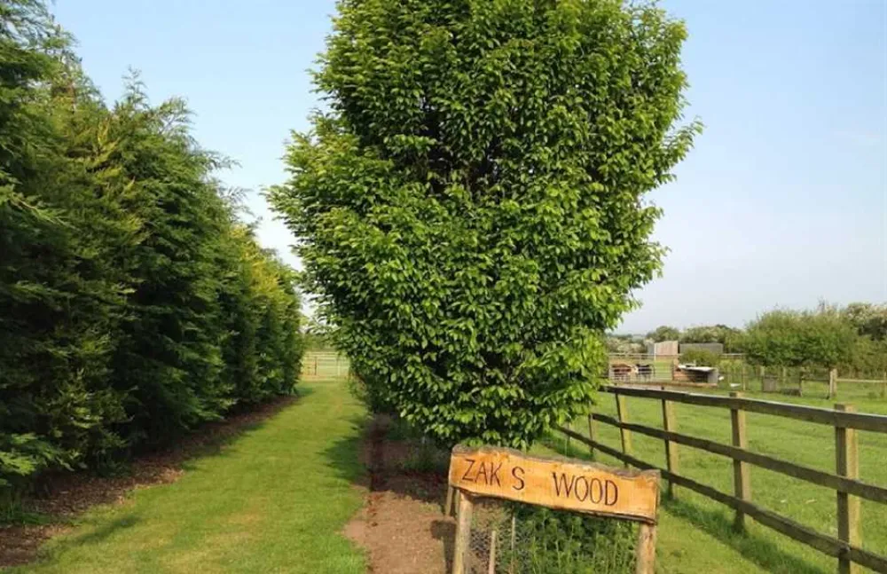 West Field Farm Camping