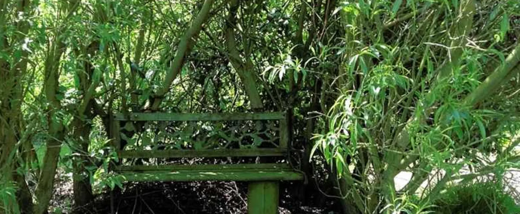 West Field Farm Camping