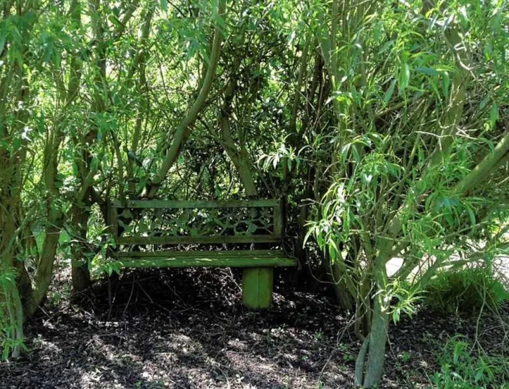 West Field Farm Camping