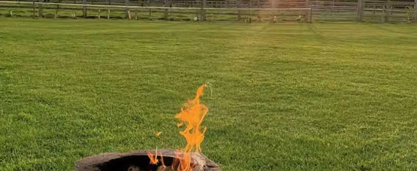 West Field Farm Camping