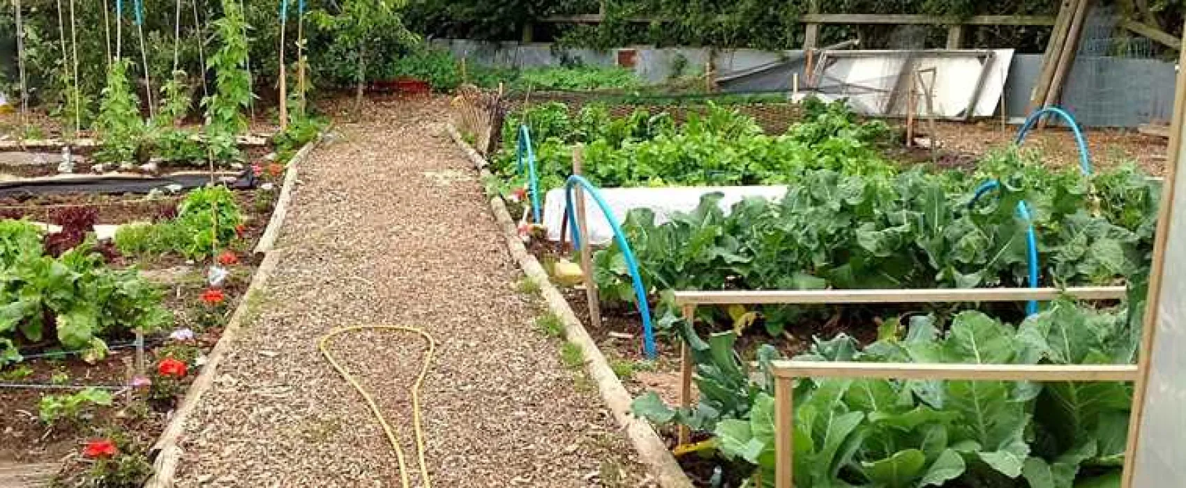 West Field Farm Camping