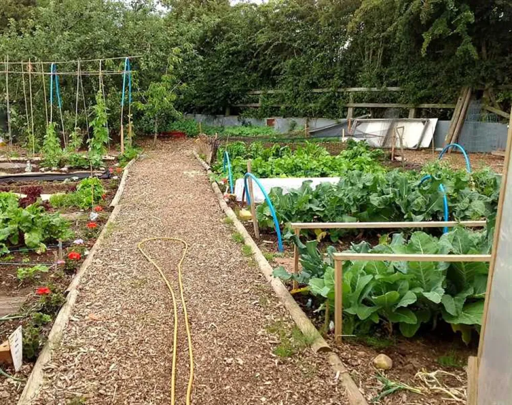 West Field Farm Camping