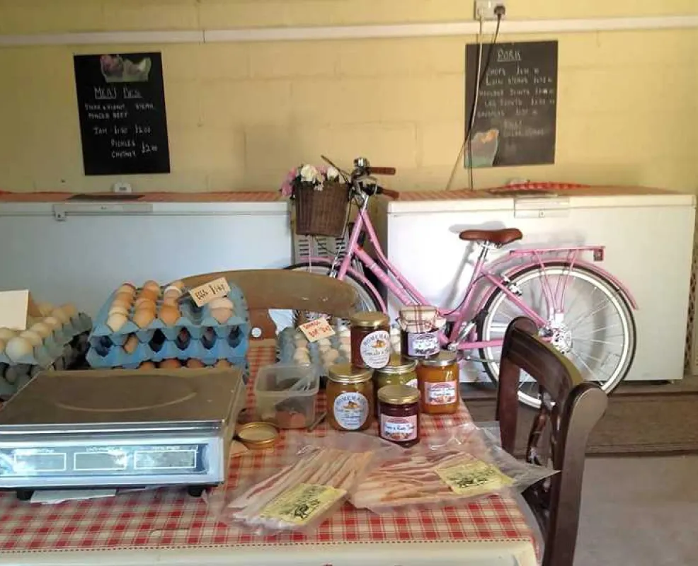 West Field Farm Camping