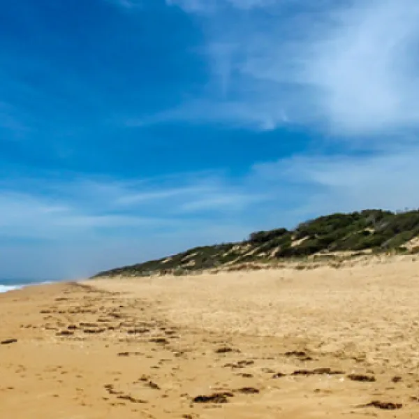 Golden Beach Campground