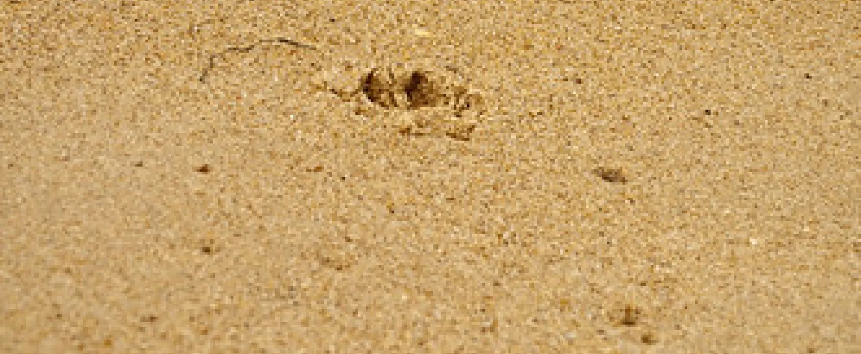 Golden Beach Campground