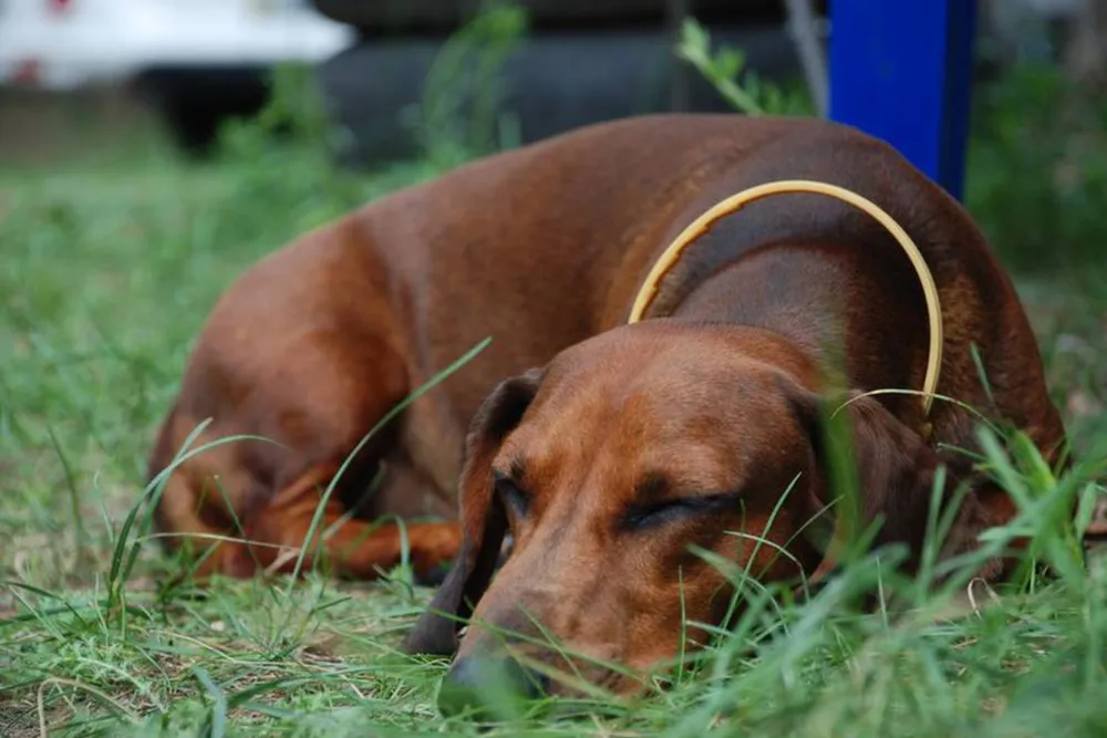 Camping-Park Ukraine