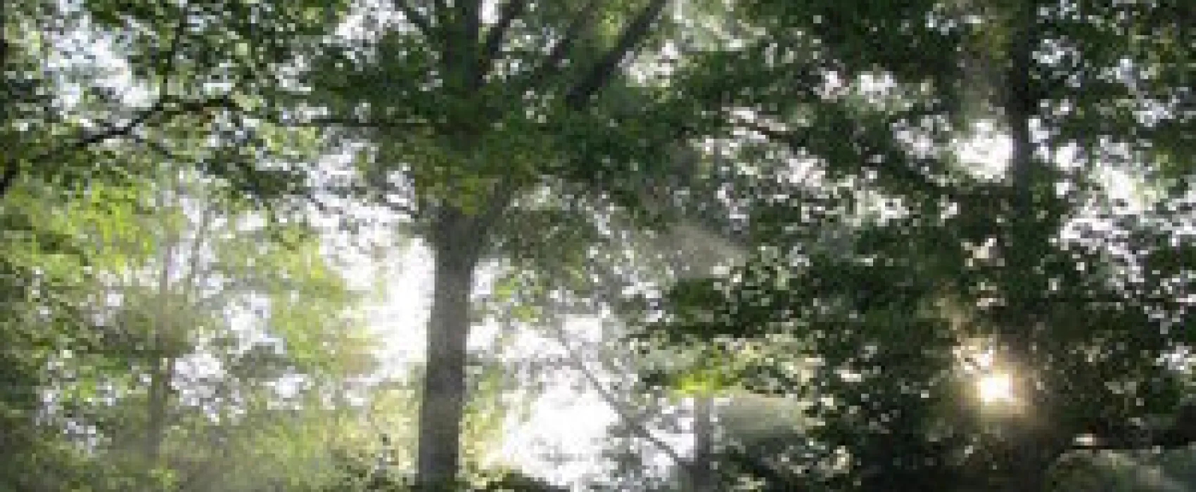 Indian-Celina Lake Recreation Area