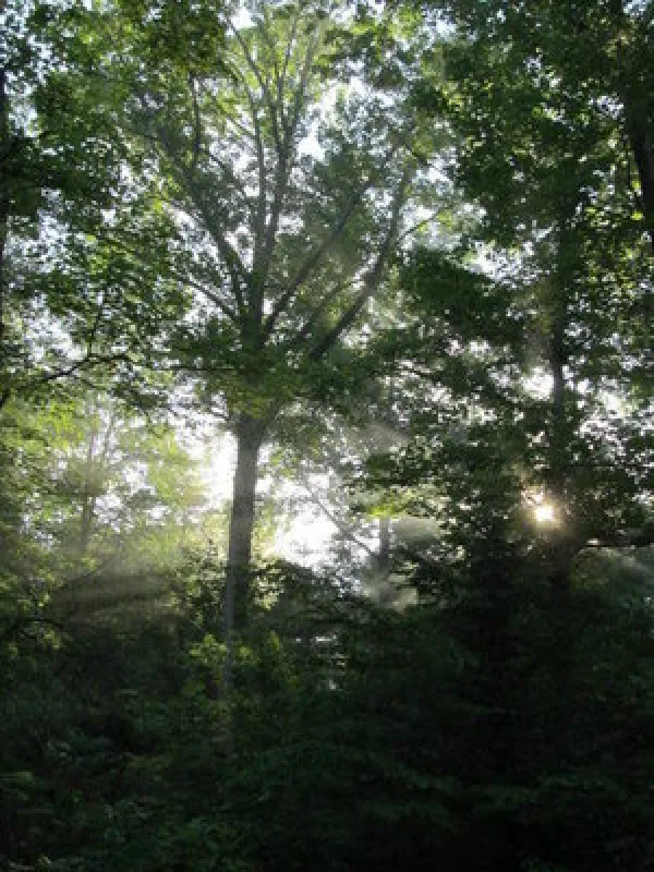 Indian-Celina Lake Recreation Area