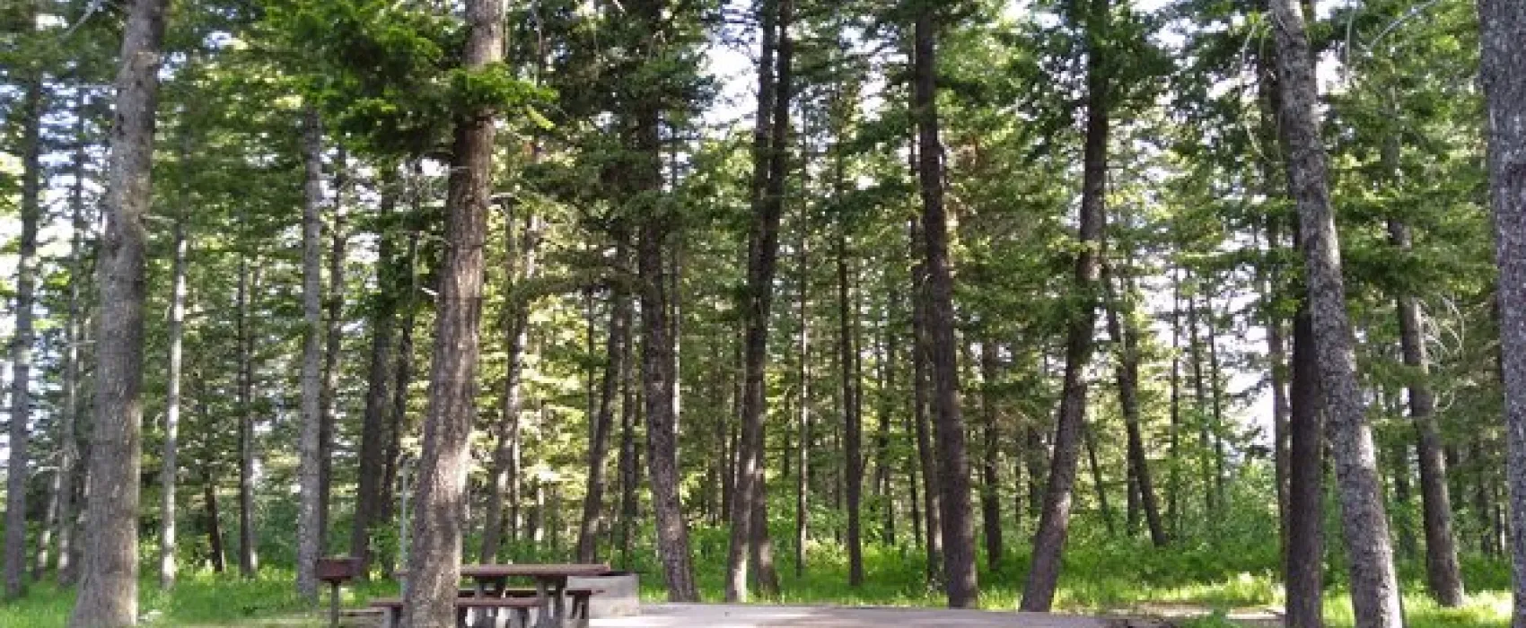 Scout Mountain Campground