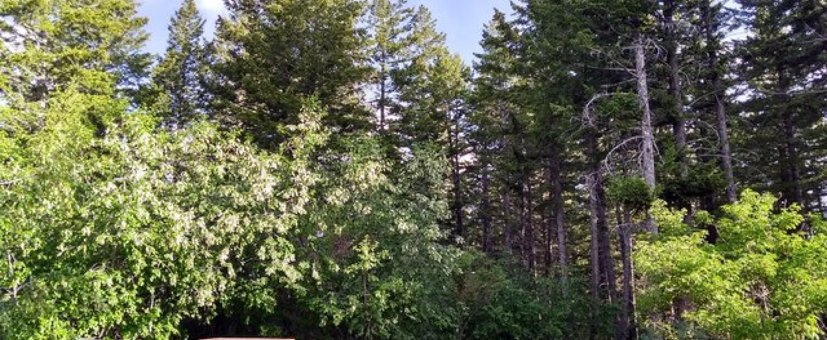 Scout Mountain Campground