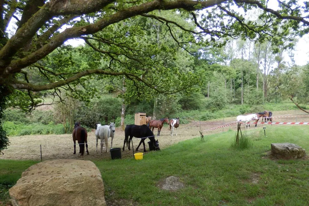 Vallon de Kerlenn Camping Nature