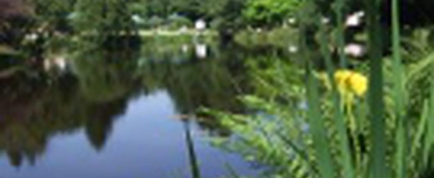 Vallon de Kerlenn Camping Nature