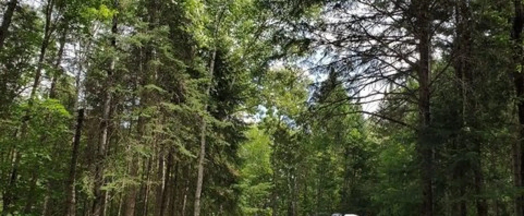 Aroostook State Park