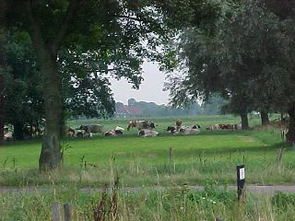't Rouweelse Veld