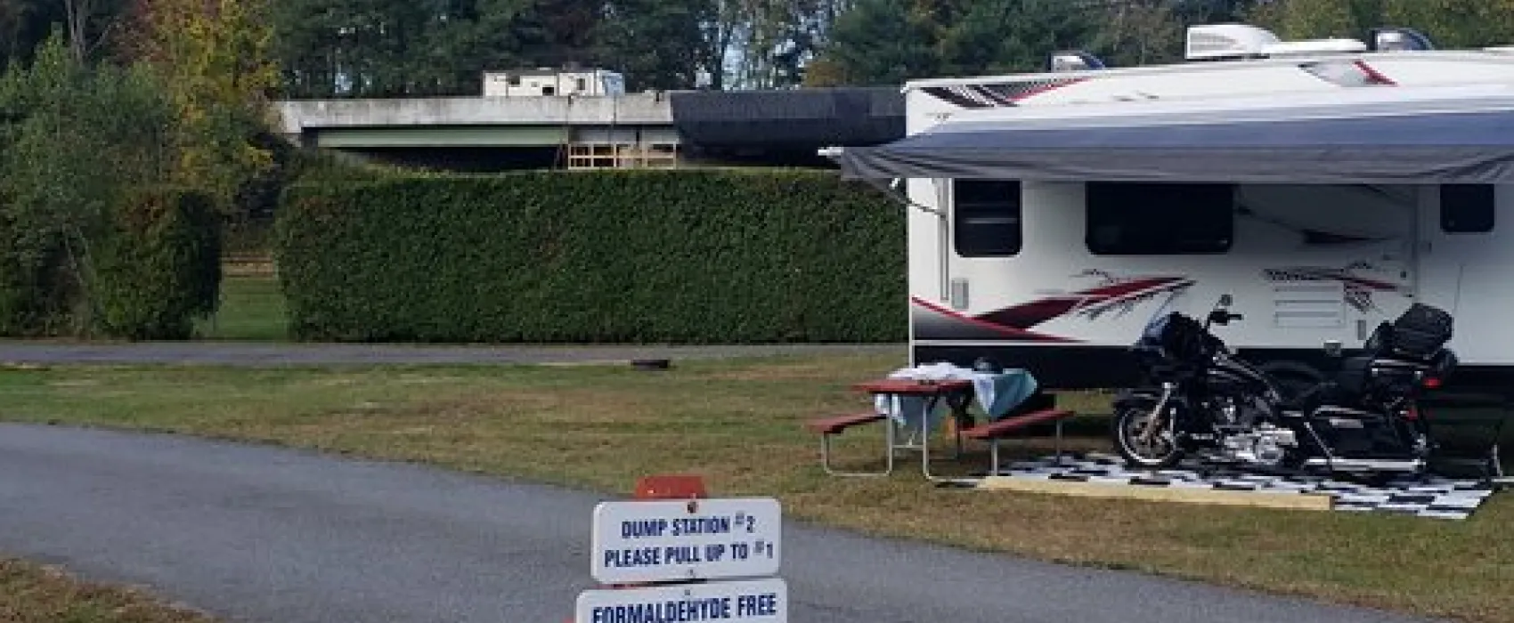 Traveler's Woods of New England