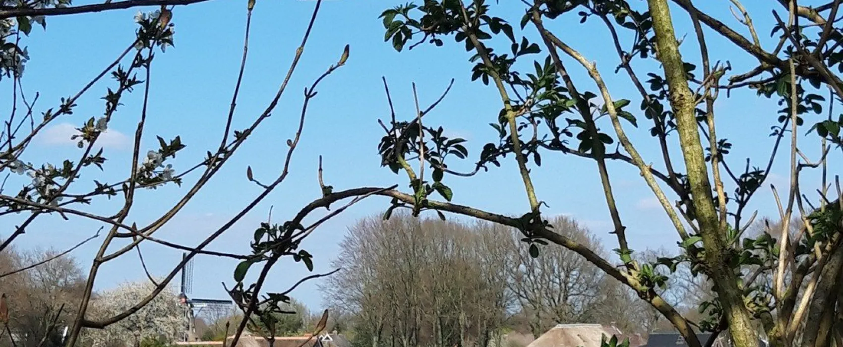 Oldendiever (Minicamping)