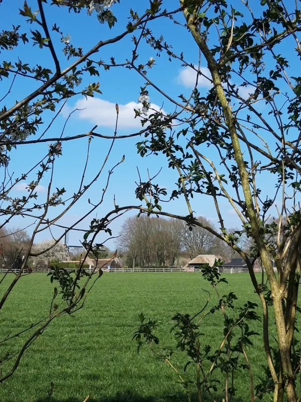 Oldendiever (Minicamping)