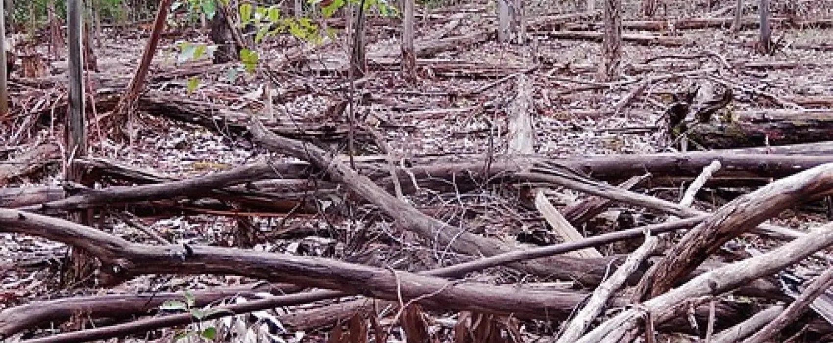 Chookarloo Campground