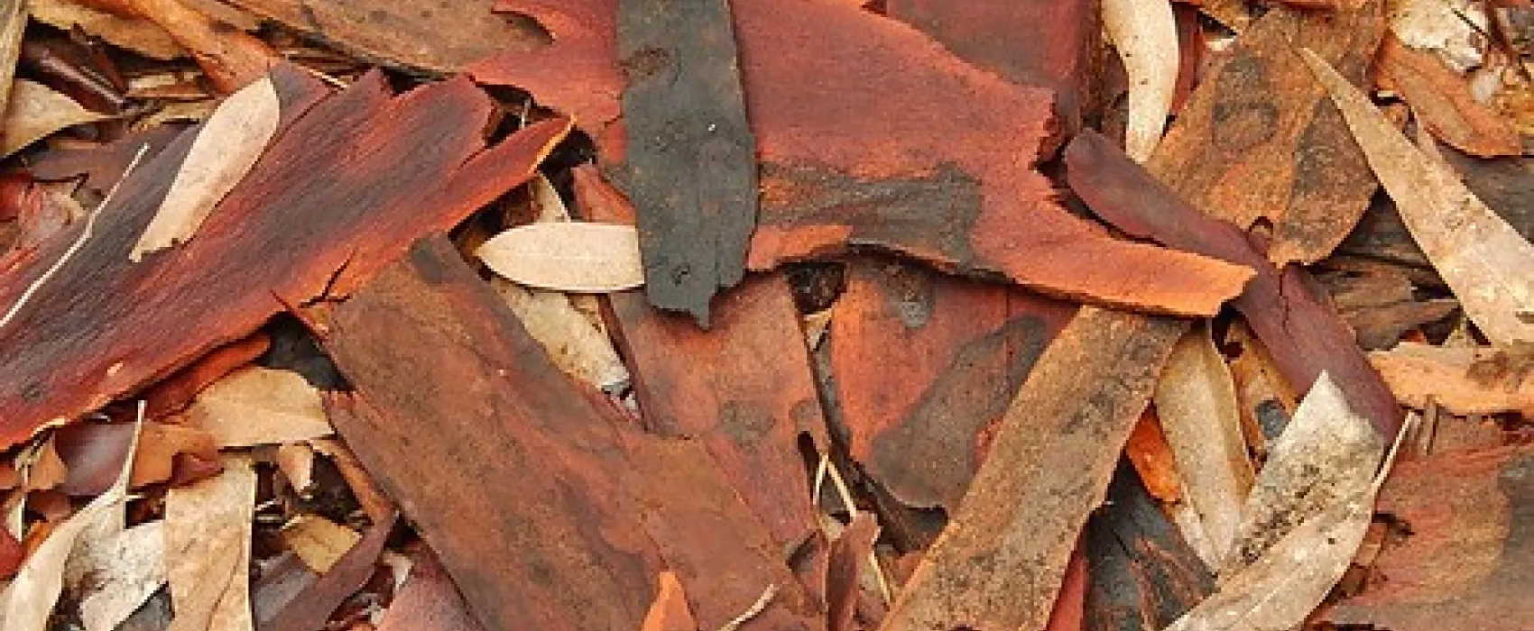 Chookarloo Campground