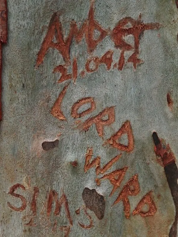 Chookarloo Campground