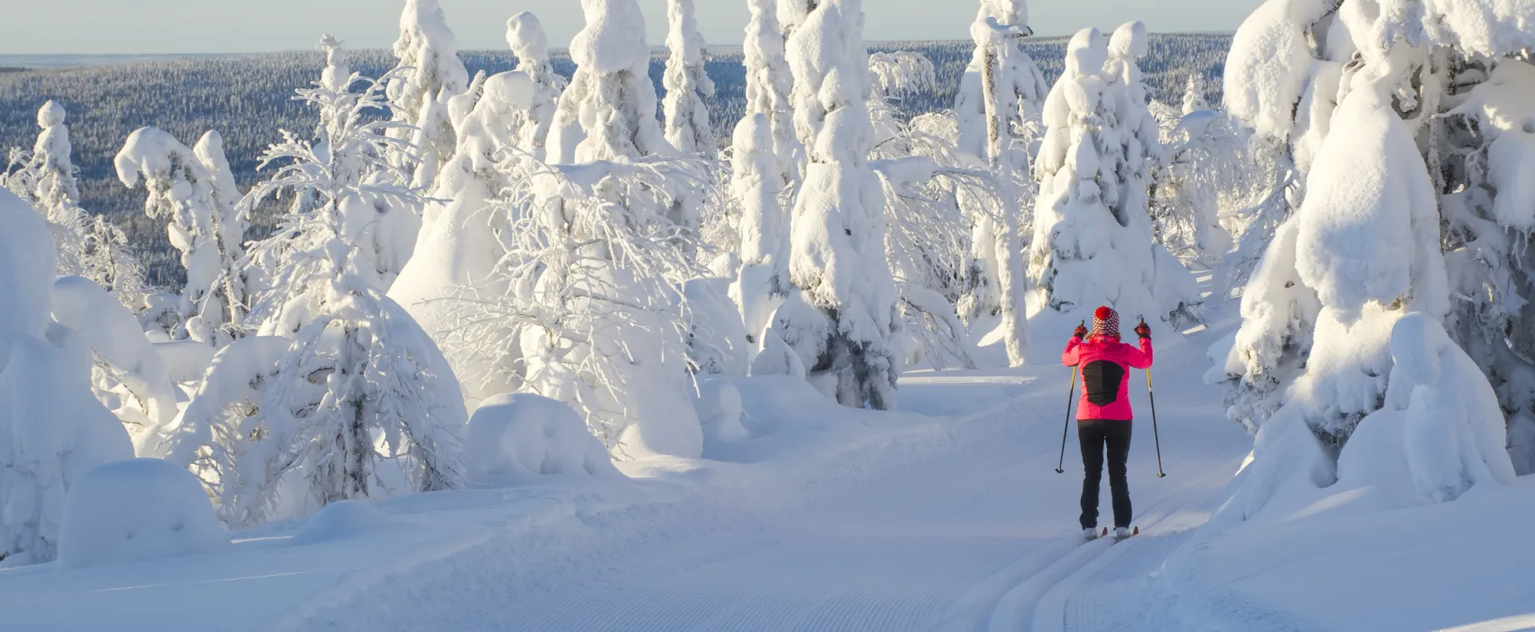 Vinterdröm - Stuga i fjällen