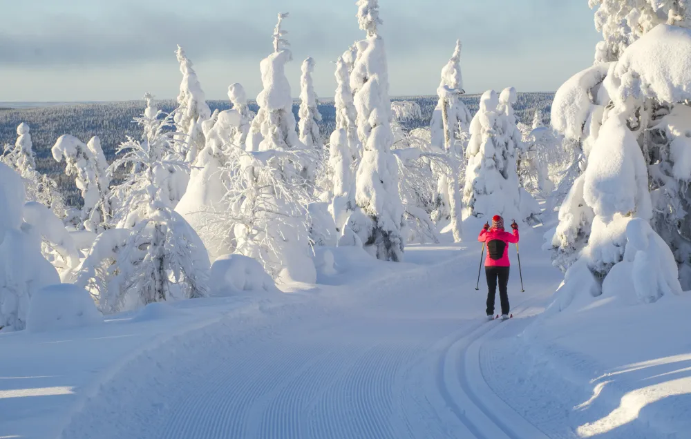 Vinterdröm - Stuga i fjällen