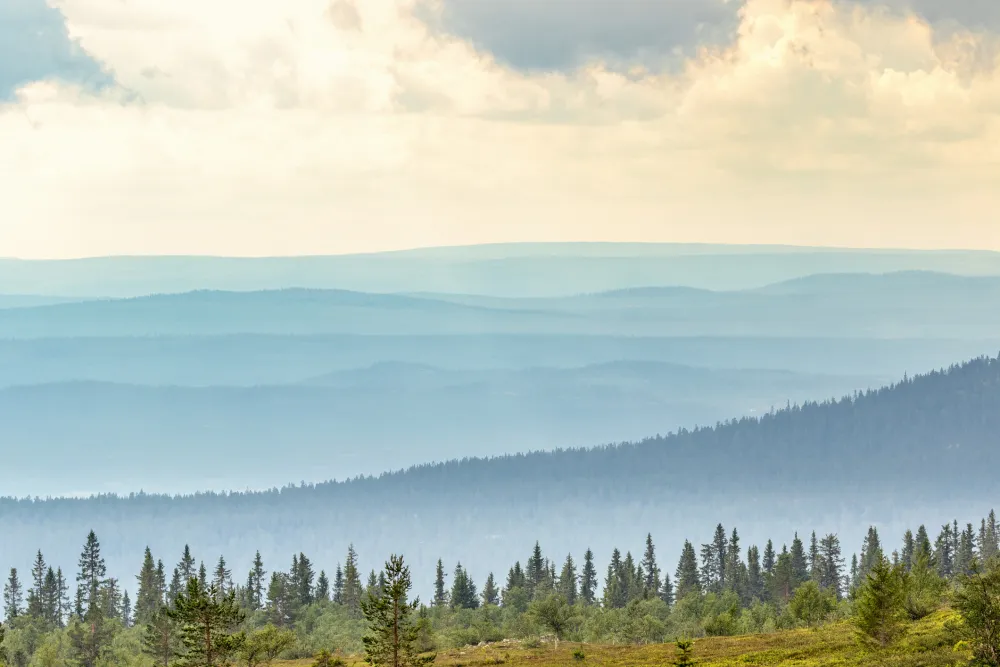 Vinterdröm - Stuga i fjällen