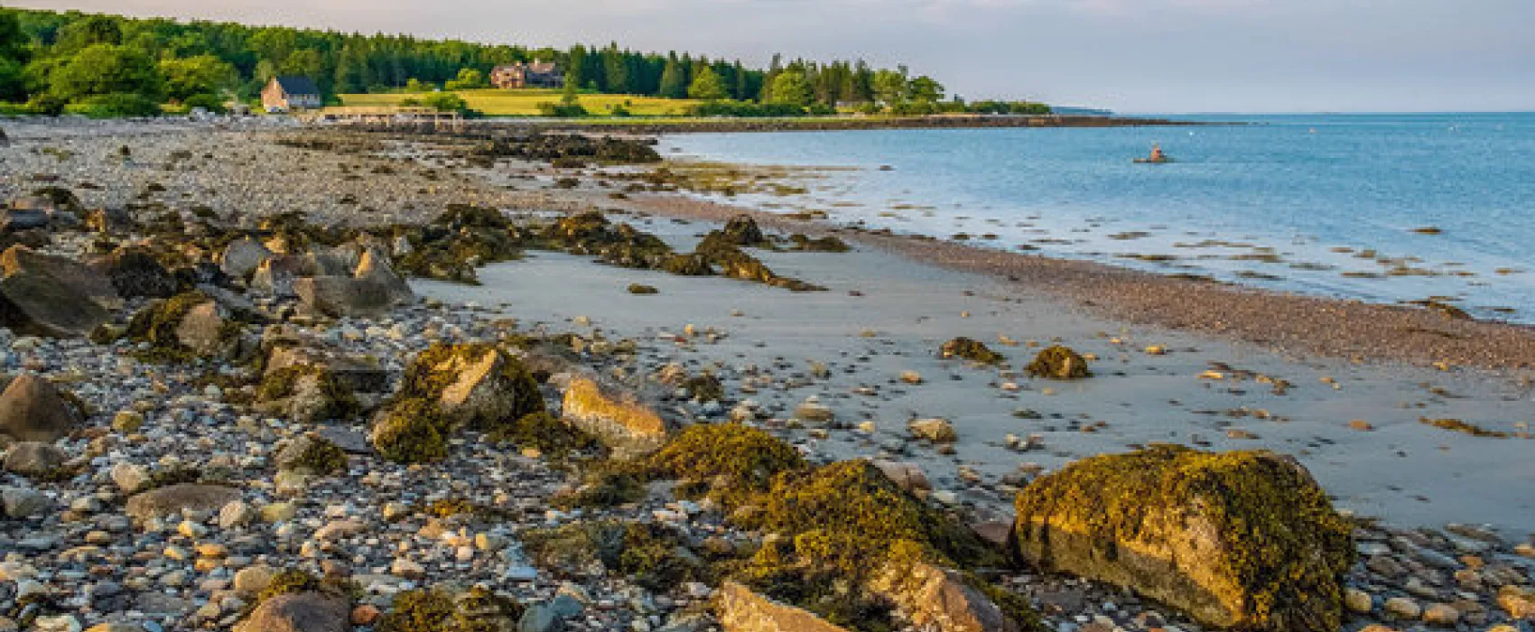 Lobster Buoy Campsites