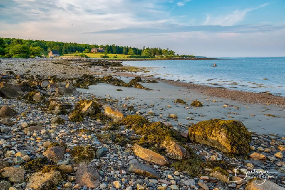 Lobster Buoy Campsites