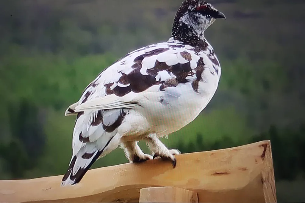 Tjaldsvæðið Systragil