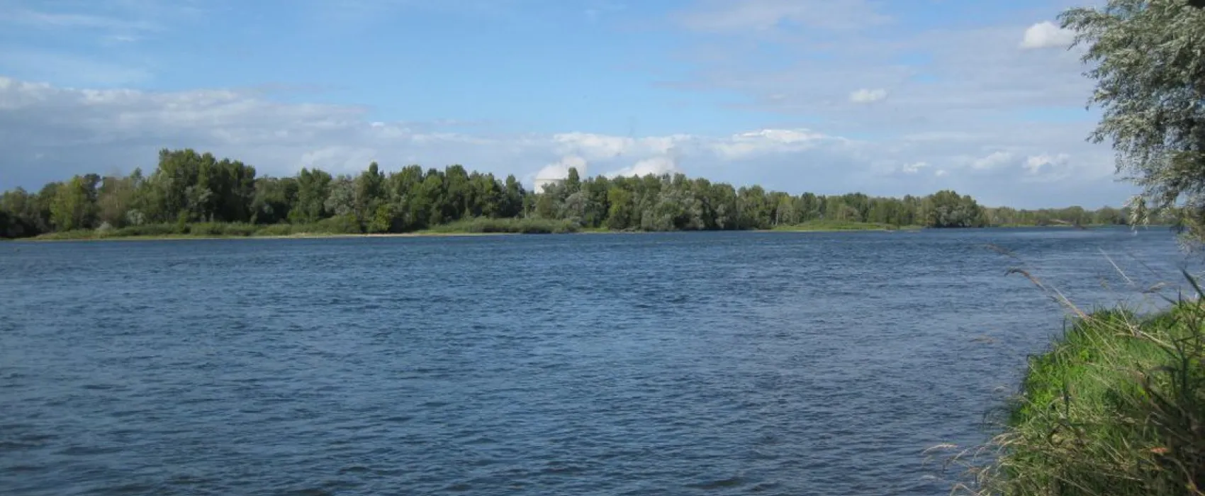 Camping de L'amitié