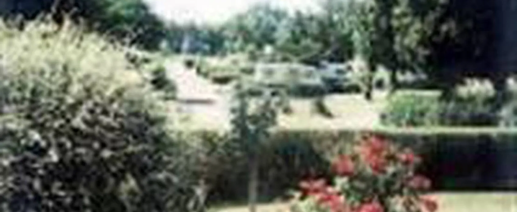 Camping de L'amitié