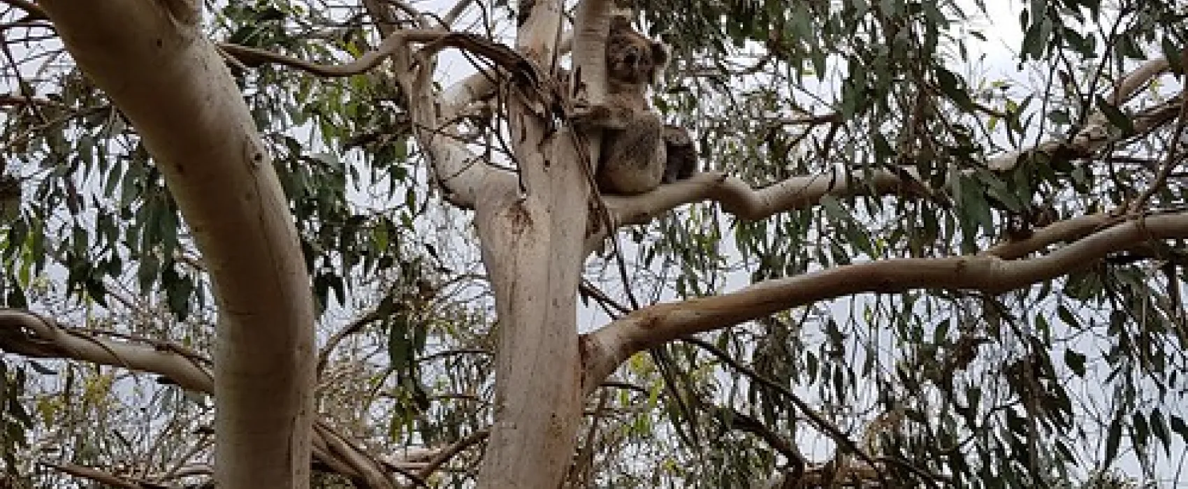 Aire River West Campground