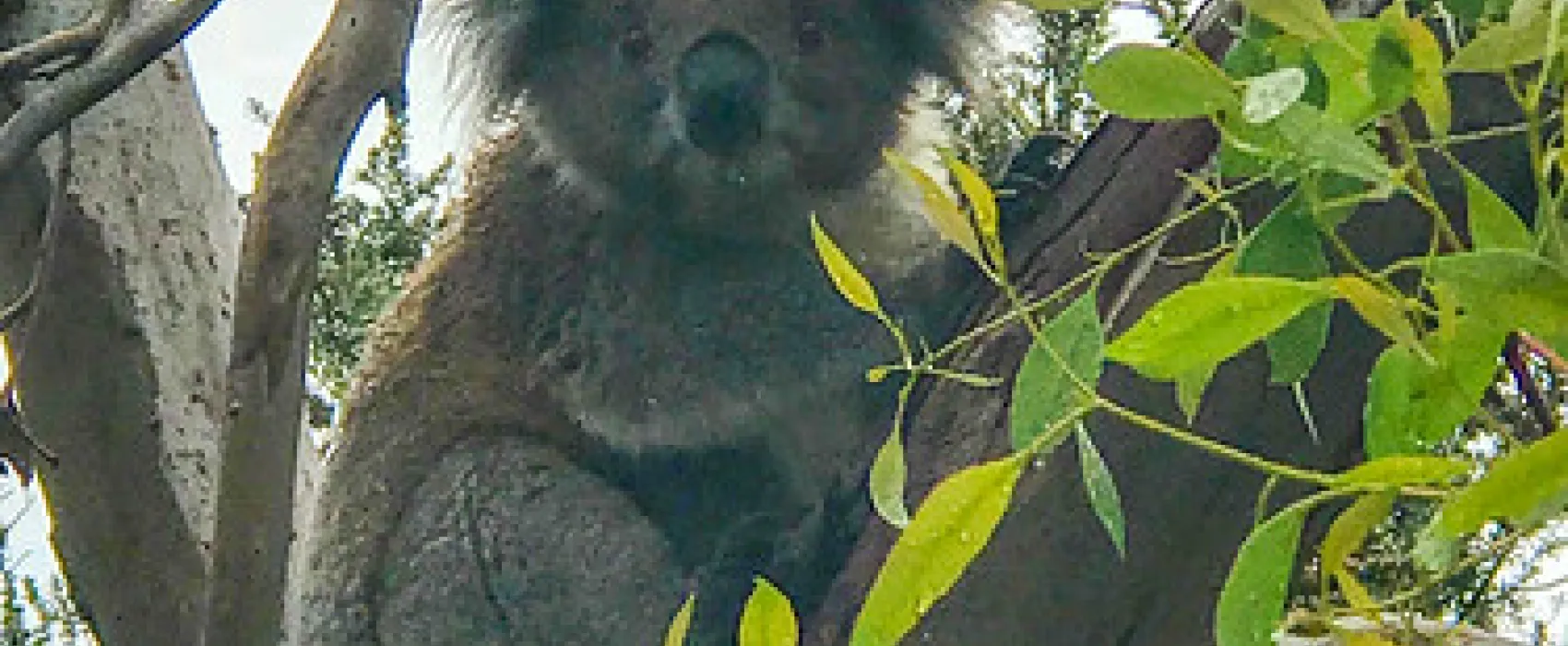 Aire River West Campground