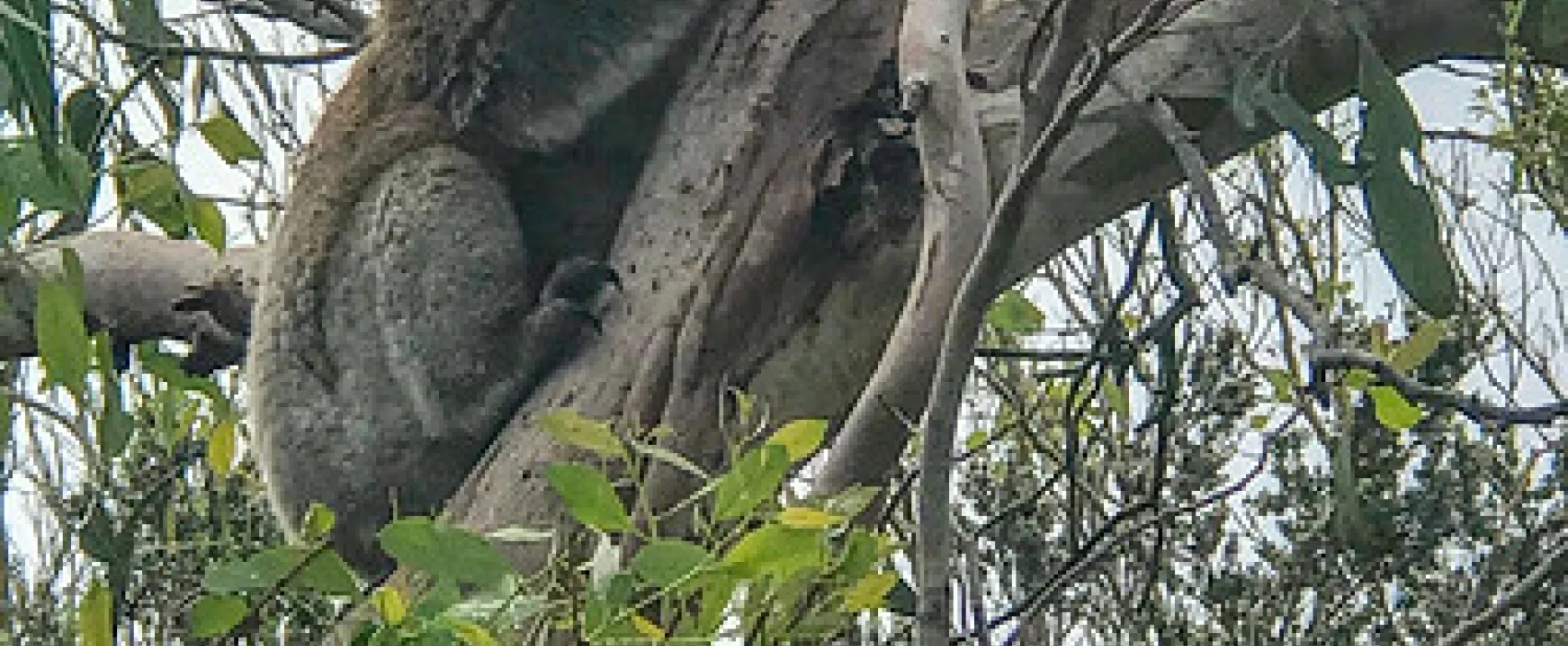 Aire River West Campground