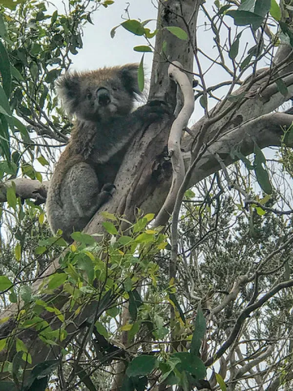 Aire River West Campground