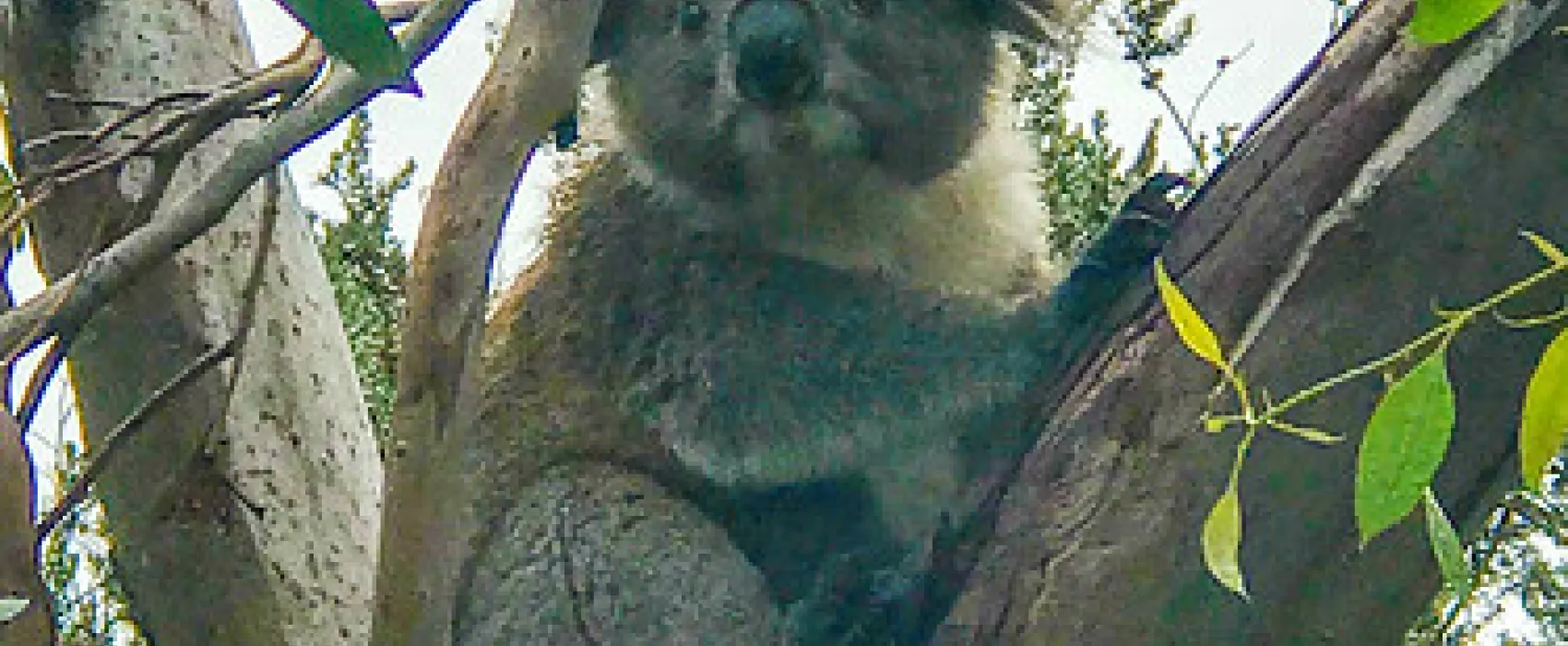 Aire River West Campground
