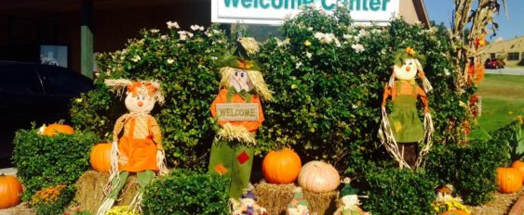 Treasure Lake Resort