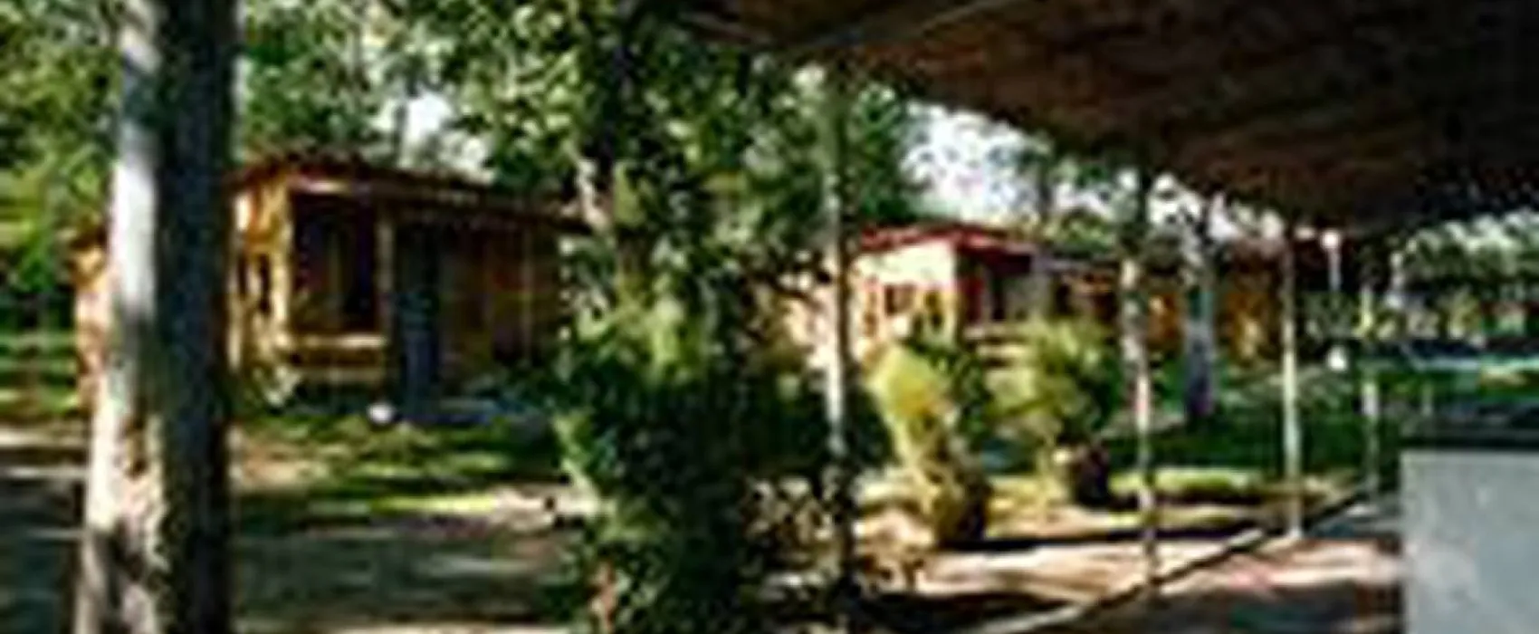 Camping la Vall D'hostoles