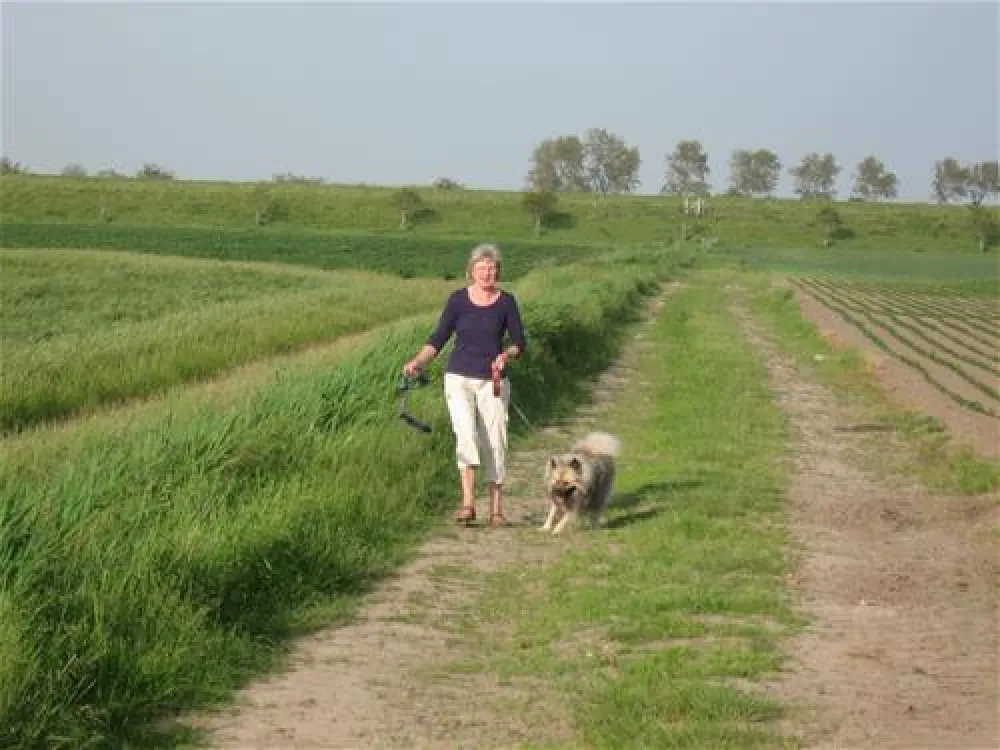 Minicamping Ruimzicht