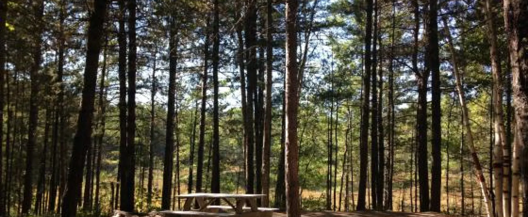 Big Moose Inn Cabins & Campground Inc.