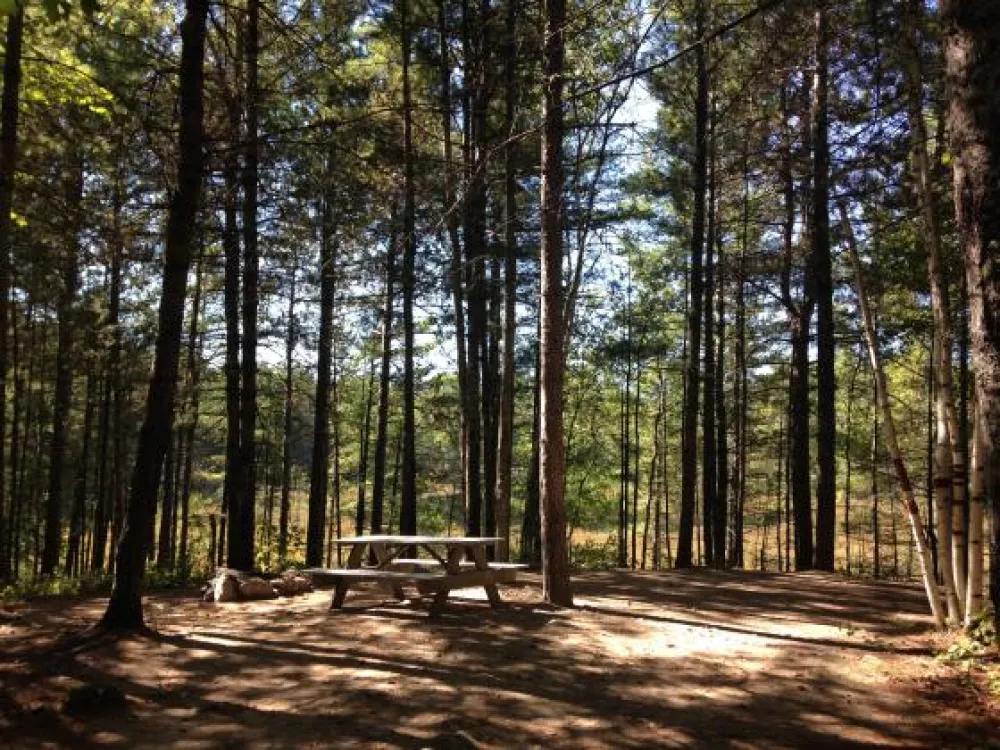 Big Moose Inn Cabins & Campground Inc.