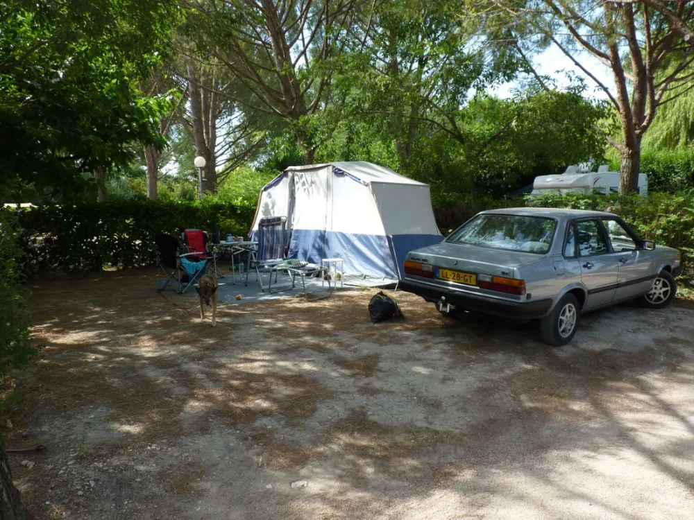 Municipal de Bellerive