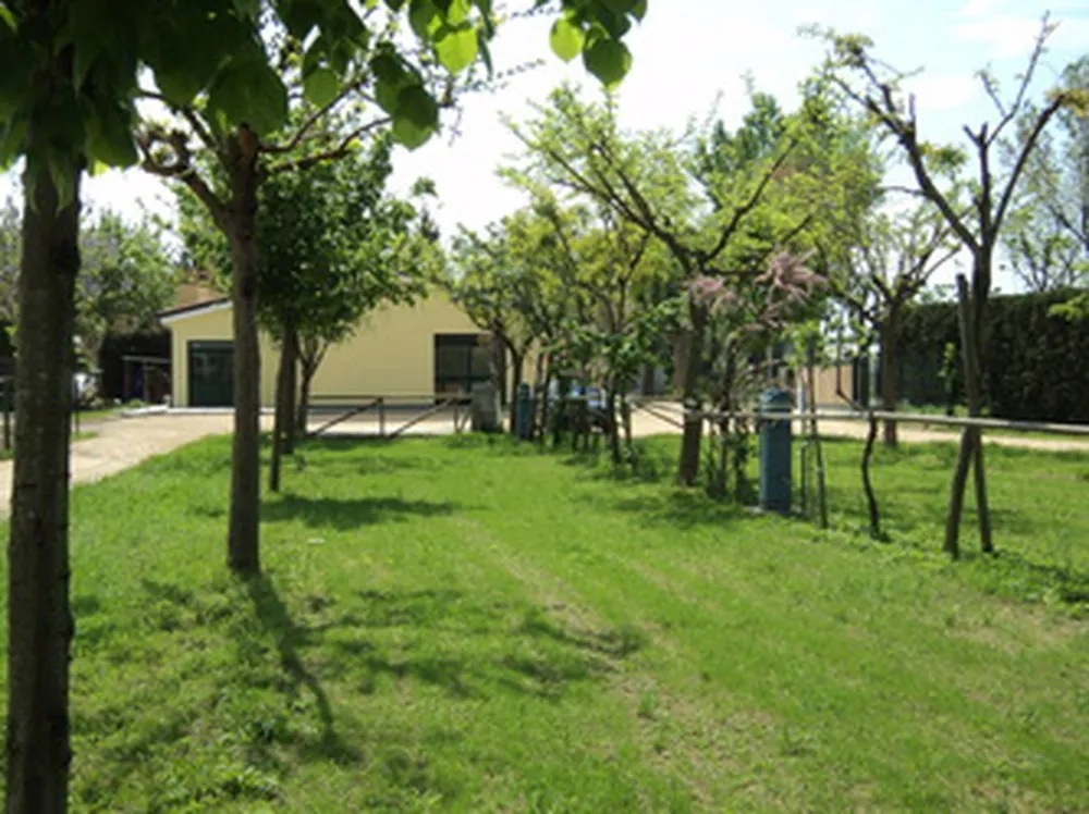 Agricampeggio Da Scarpa