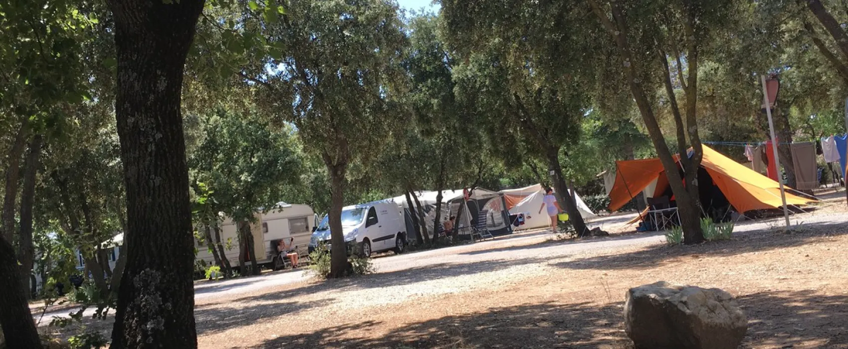 Marcel van der Cammen