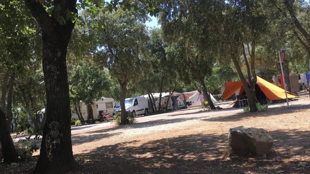 Marcel van der Cammen