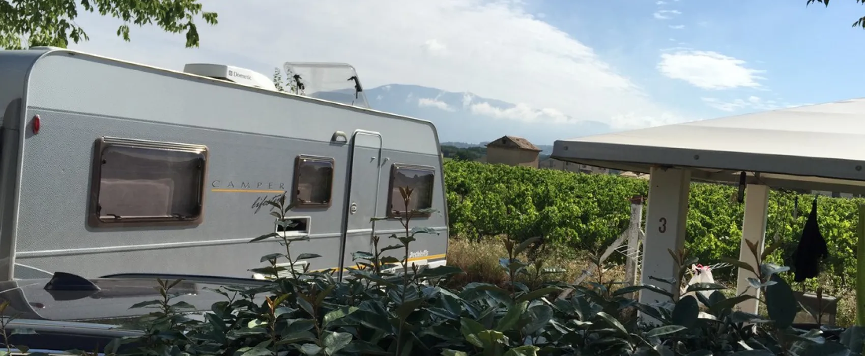 Marcel van der Cammen