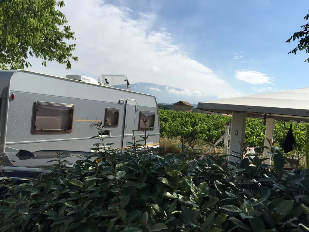 Marcel van der Cammen