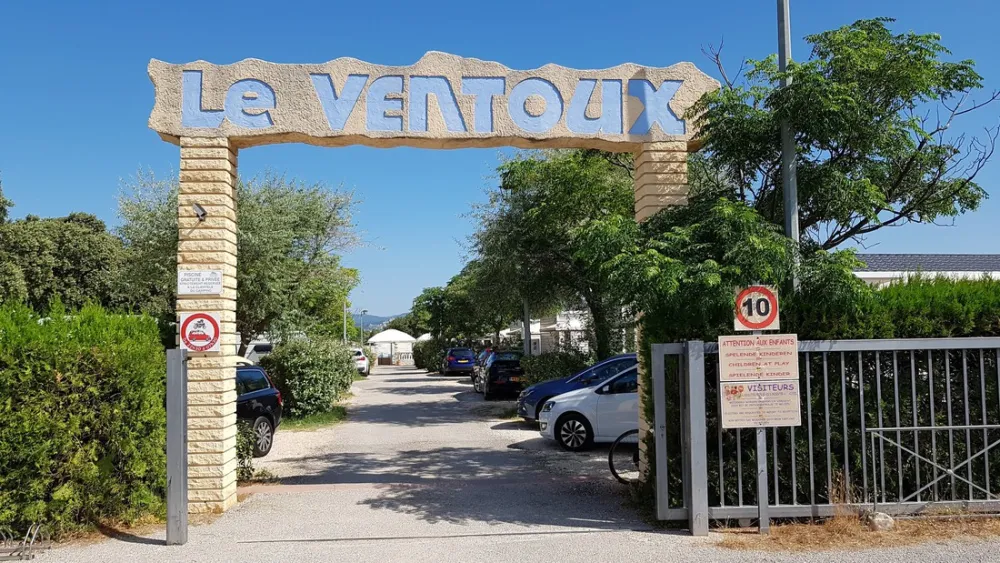 Marcel van der Cammen